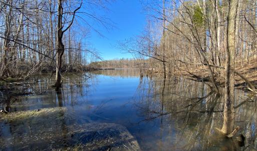 Photo #45 of Lot-B Lake Shore Drive & Lot-38B Oakwood Lane, Roxboro, NC 24.7 acres