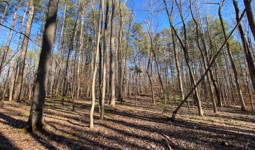Photo #46 of Lot-B Lake Shore Drive & Lot-38B Oakwood Lane, Roxboro, NC 24.7 acres
