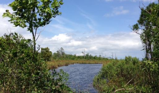 Photo #4 of SOLD property in Sailboat Rd, Shiloh, NC 441.0 acres