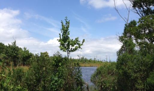Photo #5 of SOLD property in Sailboat Rd, Shiloh, NC 441.0 acres