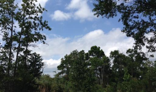 Photo #6 of SOLD property in Sailboat Rd, Shiloh, NC 441.0 acres
