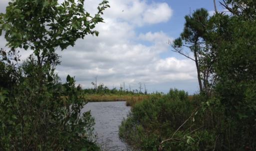 Photo #7 of SOLD property in Sailboat Rd, Shiloh, NC 441.0 acres