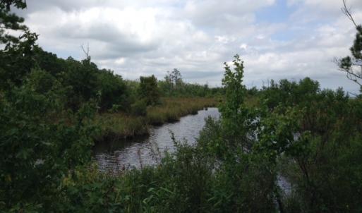 Photo #9 of SOLD property in Sailboat Rd, Shiloh, NC 441.0 acres