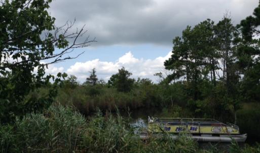 Photo #10 of SOLD property in Sailboat Rd, Shiloh, NC 441.0 acres