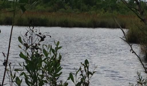 Photo #13 of SOLD property in Sailboat Rd, Shiloh, NC 441.0 acres
