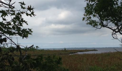 Photo #14 of SOLD property in Sailboat Rd, Shiloh, NC 441.0 acres
