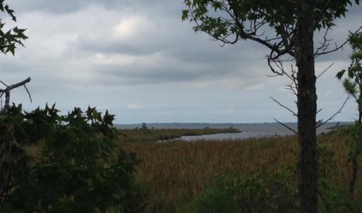 Photo #15 of SOLD property in Sailboat Rd, Shiloh, NC 441.0 acres