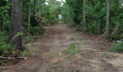 Photo #16 of SOLD property in Sailboat Rd, Shiloh, NC 441.0 acres