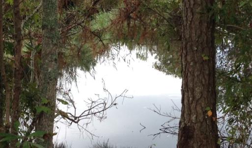 Photo #17 of SOLD property in Sailboat Rd, Shiloh, NC 441.0 acres