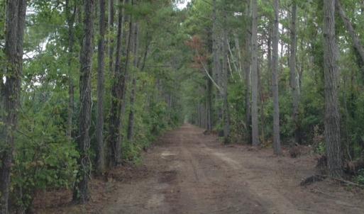 Photo #18 of SOLD property in Sailboat Rd, Shiloh, NC 441.0 acres