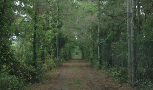 Photo #19 of SOLD property in Sailboat Rd, Shiloh, NC 441.0 acres