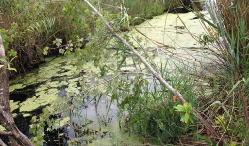 Photo #23 of SOLD property in Sailboat Rd, Shiloh, NC 441.0 acres
