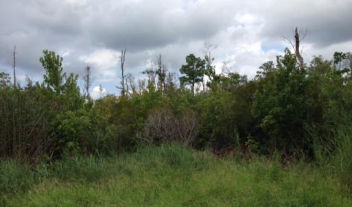 Photo #24 of SOLD property in Sailboat Rd, Shiloh, NC 441.0 acres