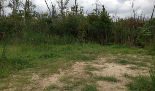 Photo #25 of SOLD property in Sailboat Rd, Shiloh, NC 441.0 acres