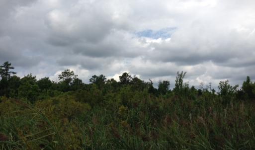 Photo #27 of SOLD property in Sailboat Rd, Shiloh, NC 441.0 acres