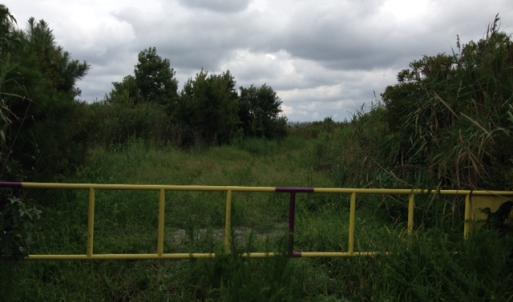 Photo #32 of SOLD property in Sailboat Rd, Shiloh, NC 441.0 acres