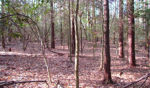 Photo #4 of SOLD property in Pineview Rd, Suffolk, VA 5.0 acres