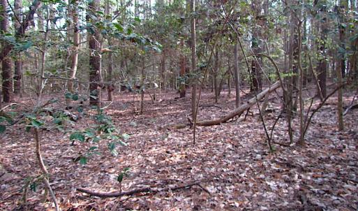Photo #7 of SOLD property in Pineview Rd, Suffolk, VA 5.0 acres