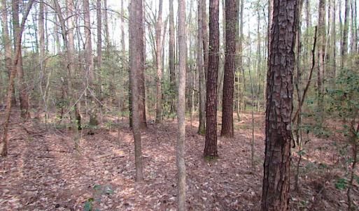 Photo #10 of SOLD property in Pineview Rd, Suffolk, VA 5.0 acres