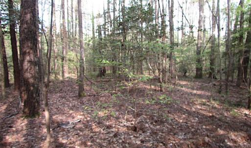 Photo #12 of SOLD property in Pineview Rd, Suffolk, VA 5.0 acres