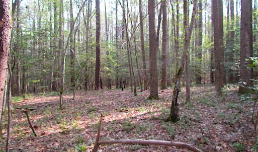 Photo #13 of SOLD property in Pineview Rd, Suffolk, VA 5.0 acres