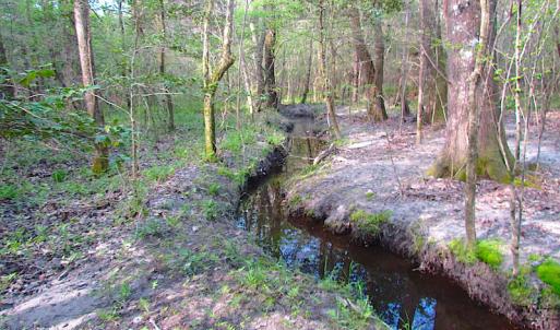 Photo #16 of SOLD property in Pineview Rd, Suffolk, VA 5.0 acres