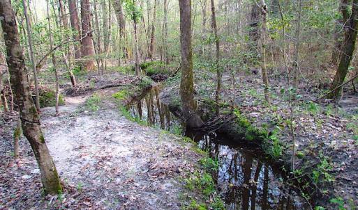 Photo #17 of SOLD property in Pineview Rd, Suffolk, VA 5.0 acres