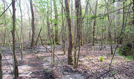 Photo #18 of SOLD property in Pineview Rd, Suffolk, VA 5.0 acres