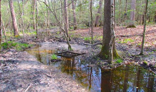 Photo #19 of SOLD property in Pineview Rd, Suffolk, VA 5.0 acres