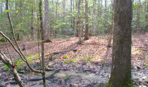 Photo #20 of SOLD property in Pineview Rd, Suffolk, VA 5.0 acres