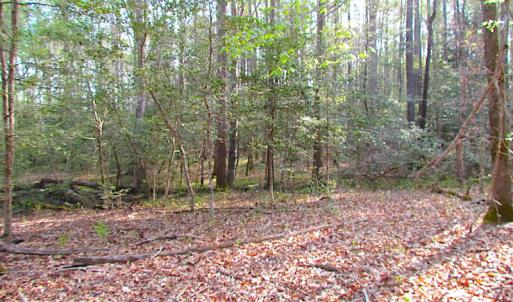 Photo #21 of SOLD property in Pineview Rd, Suffolk, VA 5.0 acres