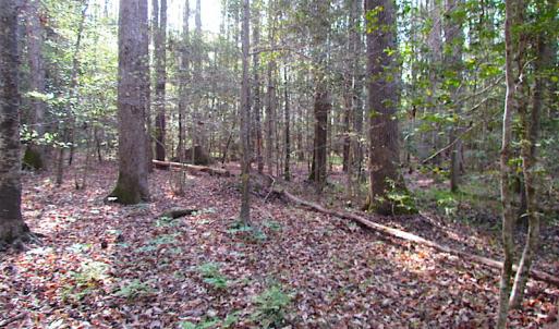 Photo #22 of SOLD property in Pineview Rd, Suffolk, VA 5.0 acres