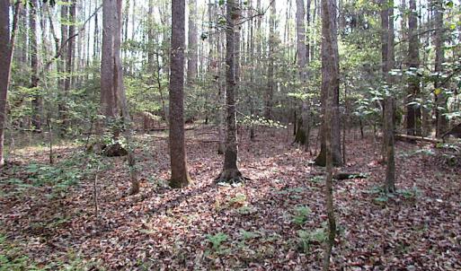 Photo #23 of SOLD property in Pineview Rd, Suffolk, VA 5.0 acres