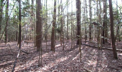 Photo #26 of SOLD property in Pineview Rd, Suffolk, VA 5.0 acres