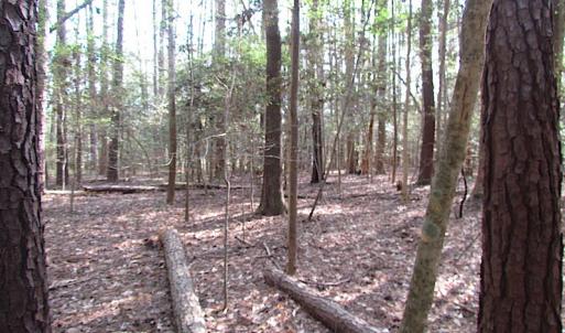 Photo #28 of SOLD property in Pineview Rd, Suffolk, VA 5.0 acres