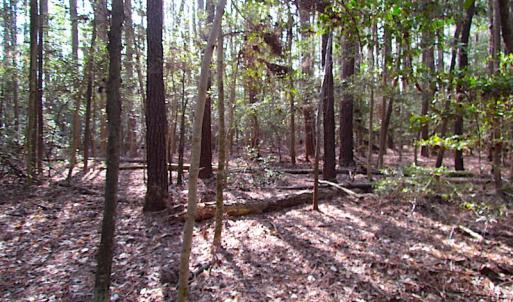 Photo #29 of SOLD property in Pineview Rd, Suffolk, VA 5.0 acres