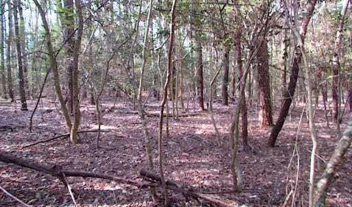 Photo #30 of SOLD property in Pineview Rd, Suffolk, VA 5.0 acres