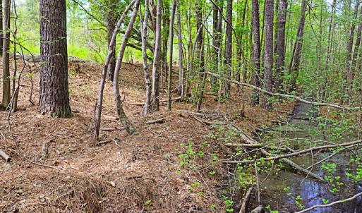 Photo #9 of SOLD property in Off Robinson Road, Morven, NC 26.7 acres