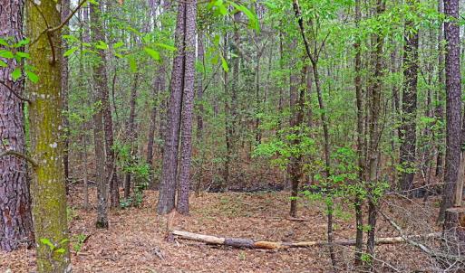 Photo #10 of SOLD property in Off Robinson Road, Morven, NC 26.7 acres