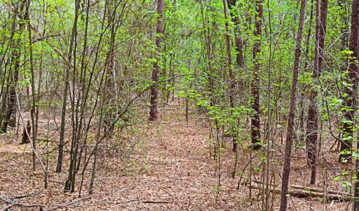 Photo #22 of SOLD property in Off Robinson Road, Morven, NC 26.7 acres