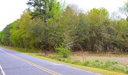 Photo #5 of SOLD property in Off Robinson Road, Morven, NC 26.7 acres