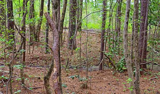 Photo #8 of SOLD property in Off Robinson Road, Morven, NC 26.7 acres