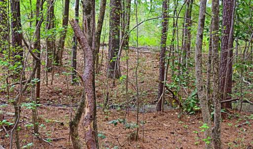 Photo #8 of SOLD property in Off Robinson Road, Morven, NC 26.7 acres