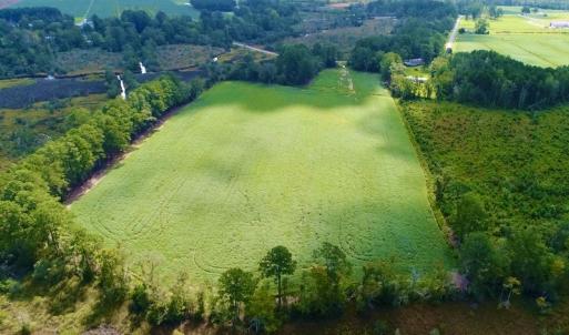 Photo #4 of SOLD property in Off Spruill Rd., Merritt, NC 33.0 acres