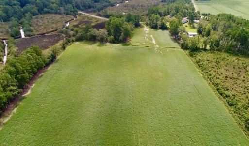 Photo #5 of SOLD property in Off Spruill Rd., Merritt, NC 33.0 acres