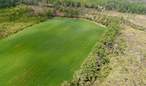 Photo #28 of SOLD property in Off Spruill Rd., Merritt, NC 33.0 acres