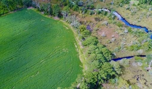 Photo #29 of SOLD property in Off Spruill Rd., Merritt, NC 33.0 acres