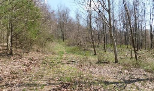 Photo #2 of US Hwy 19, Lebanon, VA 275.0 acres
