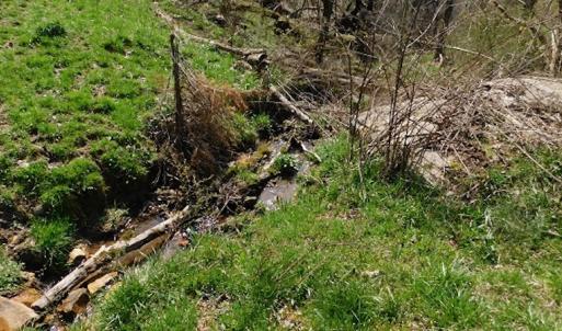 Photo #11 of US Hwy 19, Lebanon, VA 275.0 acres