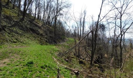 Photo #12 of US Hwy 19, Lebanon, VA 275.0 acres
